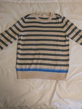 J. Crew Beige and Dark Green Striped Crewneck Sweater with Blue Hem Accent